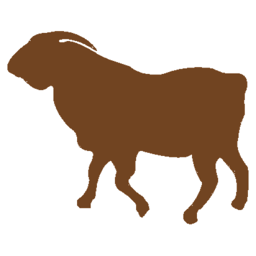 اغذية